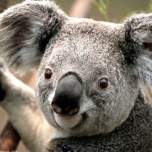 Meet your Posher, Hilton