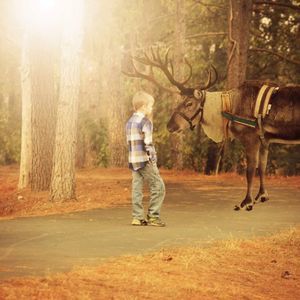 Meet your Posher, Tara