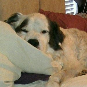 Meet your Posher, Michele