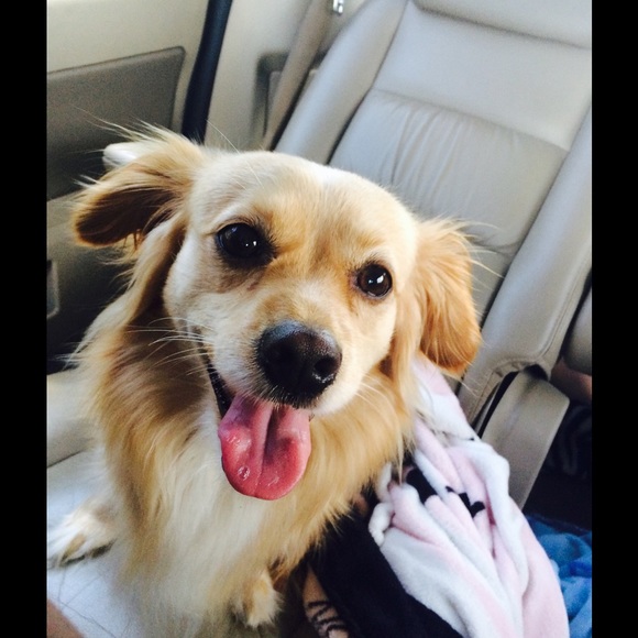 Meet your Posher, Melissa - Picture 2 of 4