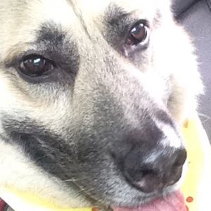 Meet your Posher, Patrick