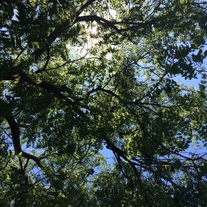 Meet your Posher, Livvy