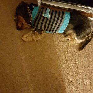 Meet your Posher, Malinda