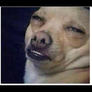 Meet your Posher, Naomi