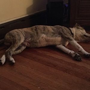 Meet your Posher, Jack