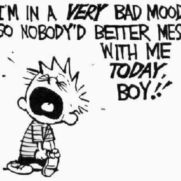 Meet your Posher, Robert - Picture 1 of 1