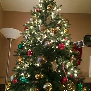 Meet your Posher, Ming