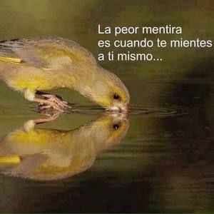 Meet your Posher, R guzman