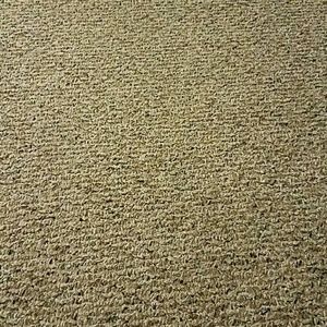 Meet your Posher, Luz