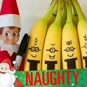 Meet your Posher, Nathan