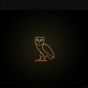 Meet your Posher, Lewis