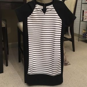 Ann Taylor Loft Lou & Grey Shift Dress