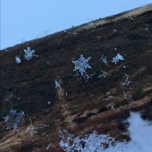 Meet your Posher, Molly