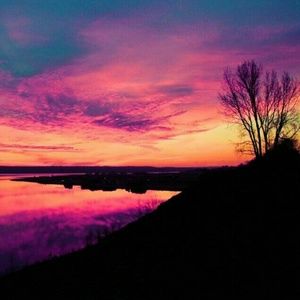 Meet your Posher, Jillian