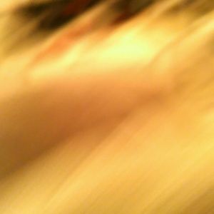 Meet your Posher, Mina