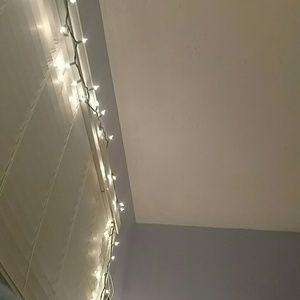 Meet your Posher, Fiona