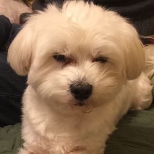 Meet your Posher, Wanda