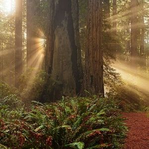 Meet your Posher, Dionne