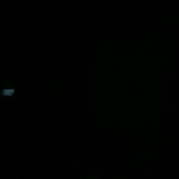 Meet your Posher, Carter