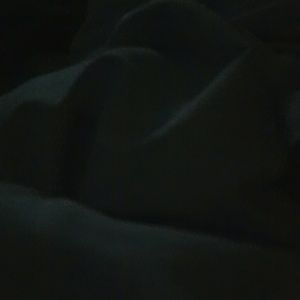 Meet your Posher, Damaris