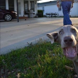 Meet your Posher, Lauren