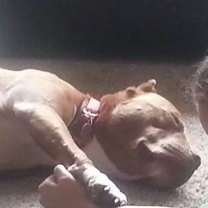 Meet your Posher, Bonnie