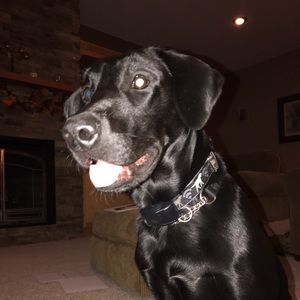 Meet your Posher, Campbell