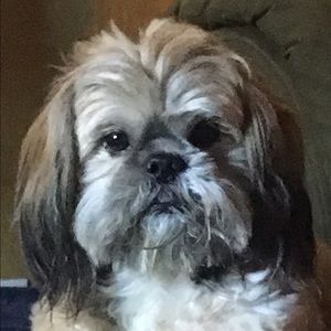 Meet your Posher, Cecilia