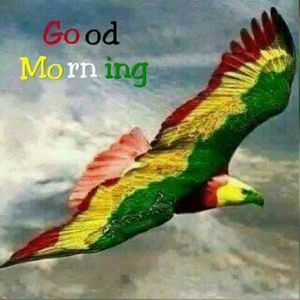 Meet your Posher, Carlene