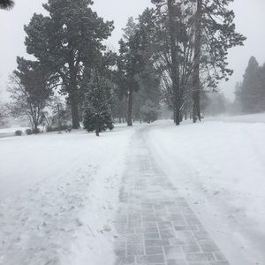 Meet your Posher, Matt