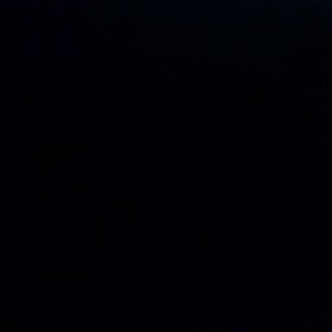 Meet your Posher, Carmen