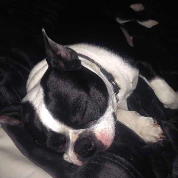 Meet your Posher, Lisa - Picture 4 of 4