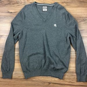 Express V-neck Sweater