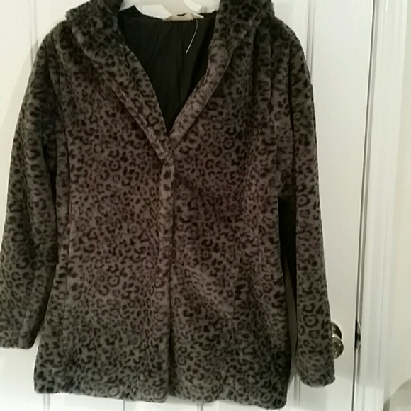 Hollister coat