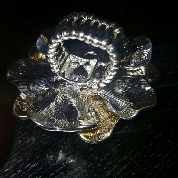 Accessories - Picture 4 of 4