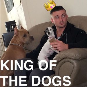 Meet your Posher, Joey