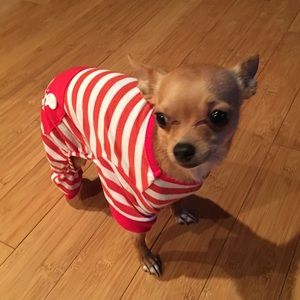 Meet your Posher, Tracey