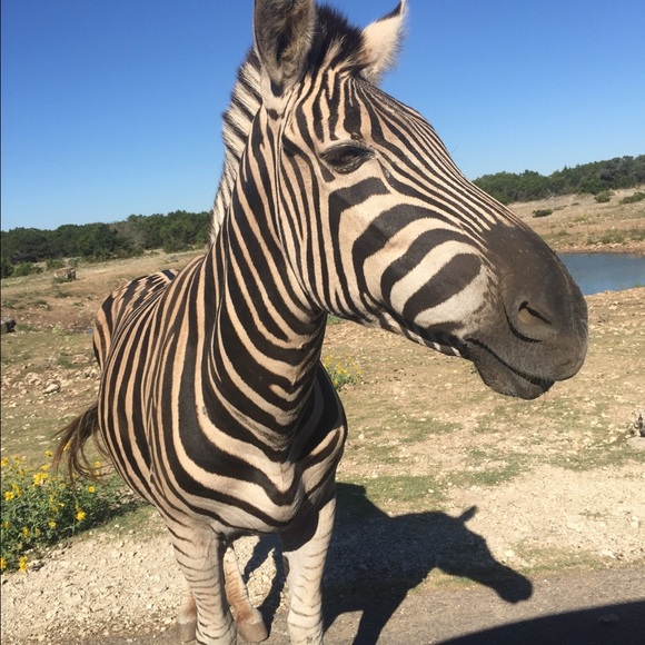 Meet your Posher, Beth - Picture 1 of 1