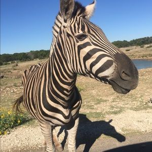 Meet your Posher, Beth