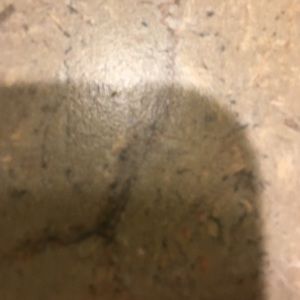 Meet your Posher, Melinda