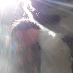 Meet your Posher, Lynne