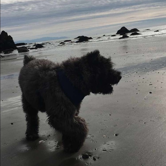 Meet your Posher, Marnie