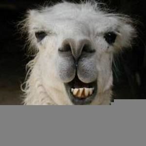 Meet your Posher, Leigh