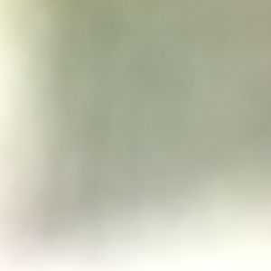 Meet your Posher, Ali