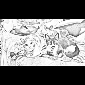 Meet your Posher, Carol