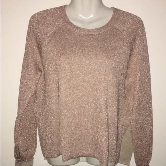 Sparkly JCrew Sweater