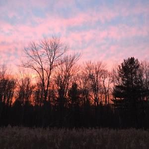 Meet your Posher, Regina