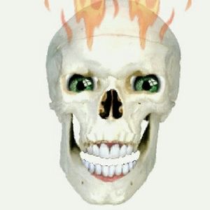 Meet your Posher, Tracey