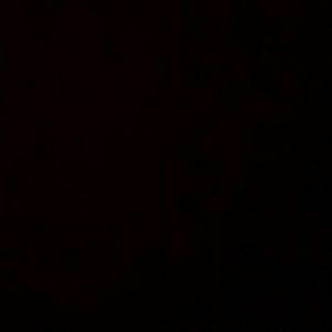 Meet your Posher, David a