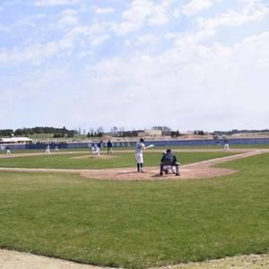 Meet your Posher, Riley